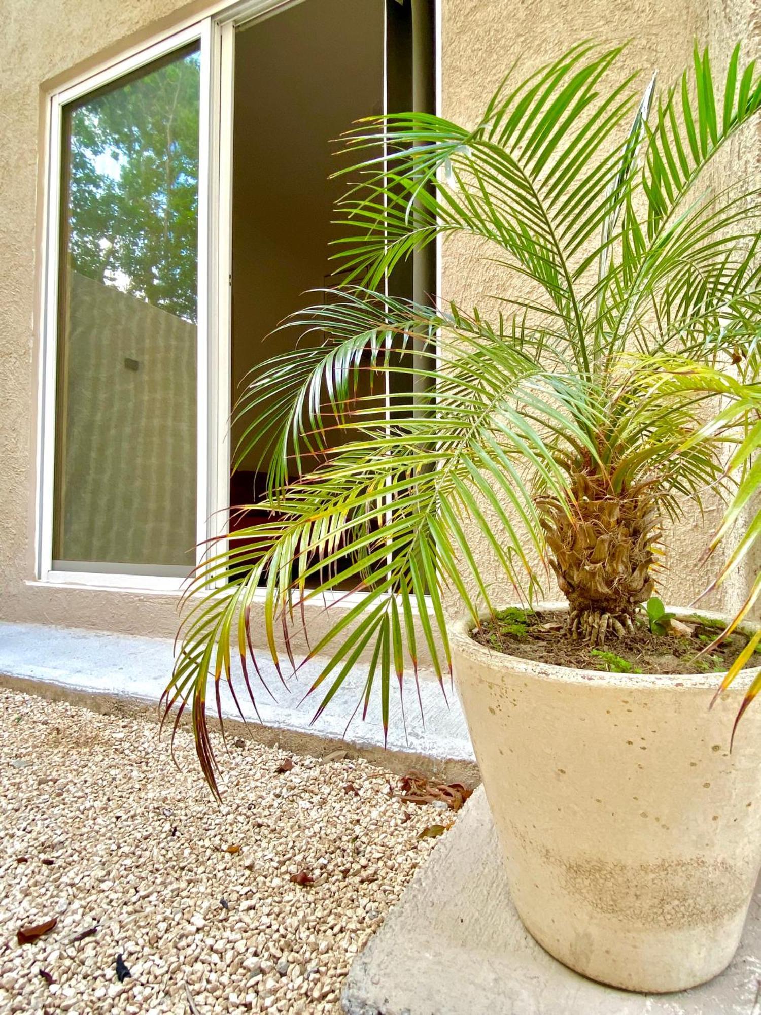Appartement Casa Etna à Cancún Extérieur photo